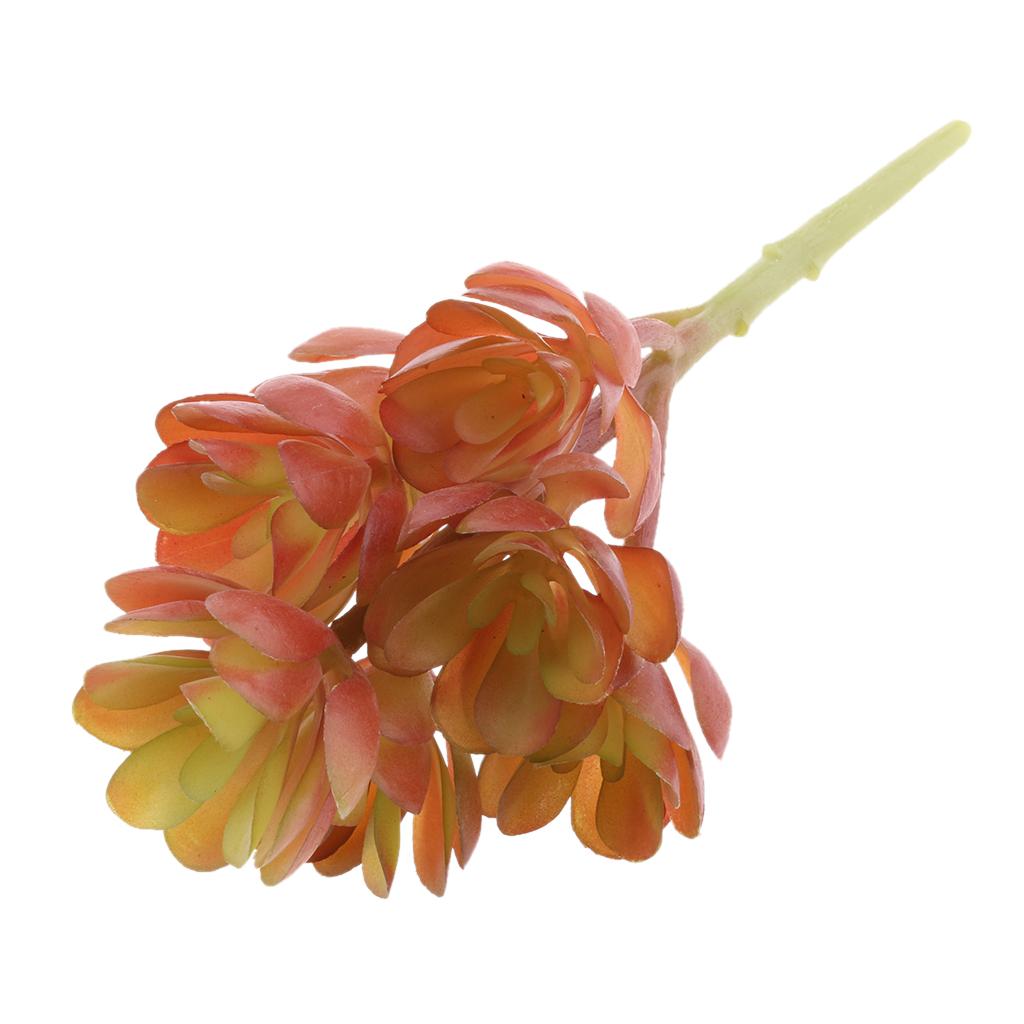 Echeveria Succulent - Plastic Artificial Succulents Plants Lifelike Echeveria
