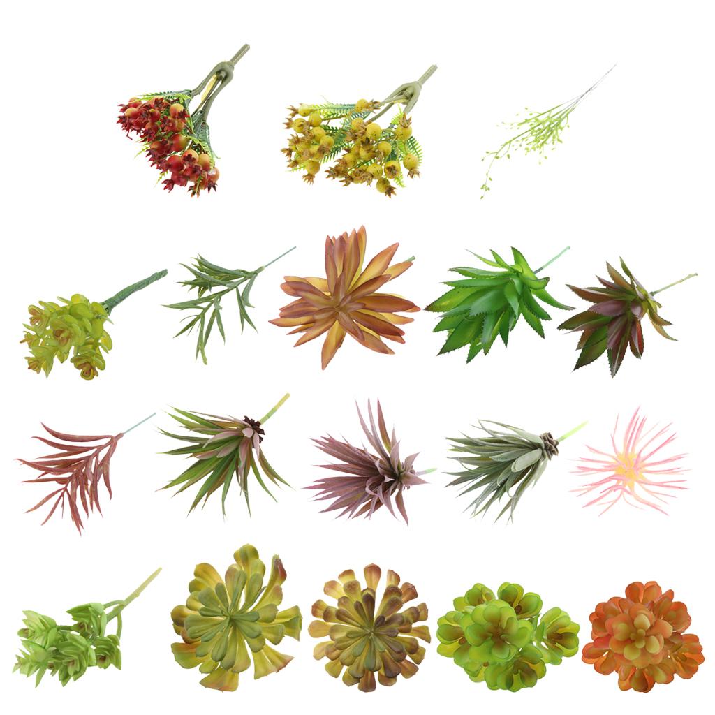 Plastic Artificial Succulents  - огляд і ціна Echeveria Succulent