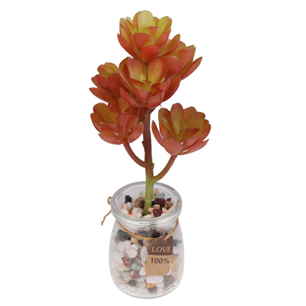 Plastic Artificial Succulents  - огляд і ціна Echeveria Succulent