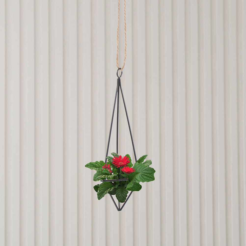 2Pcs Hanging Air Plant Holder  - огляд і ціна Spider Plant Hanging